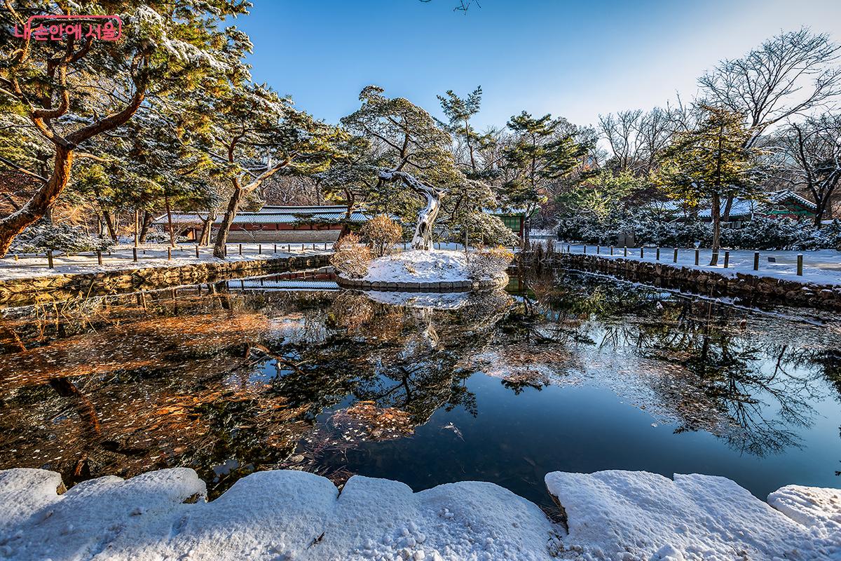 망묘루 앞 중지당에는 수백 년 된 향나무 한 그루가 네모난 연못 한가운데 둥근 섬에 뿌리를 내리고 있다. &copy;문청야