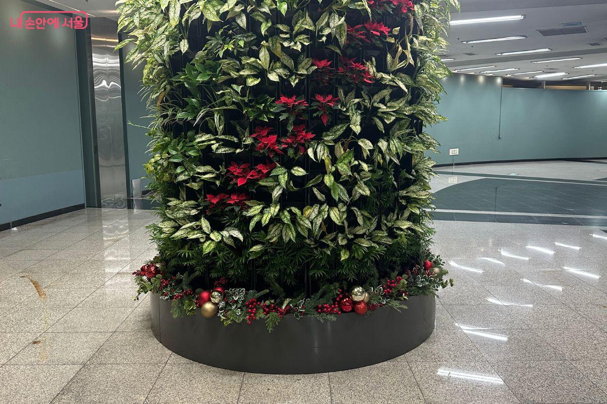 빨간색 꽃들이 연말 분위기를 물씬 풍긴다. ©김재형