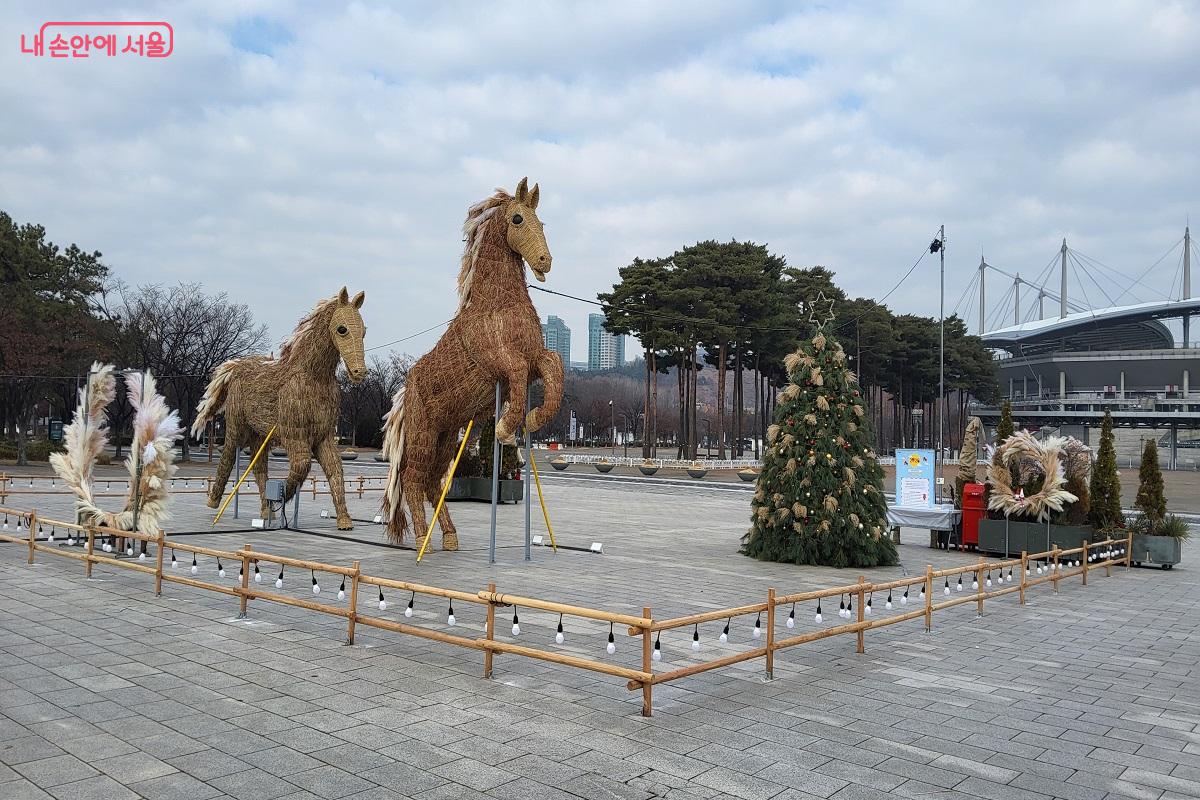 월드컵공원을 힘차게 달리고 있는 듯한 억새말 형제 &copy;권수진