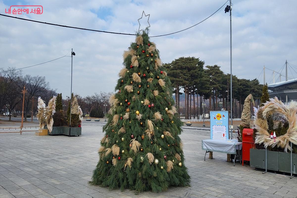 크리스마스를 앞두고 선보인 대형 억새 트리 &copy;권수진