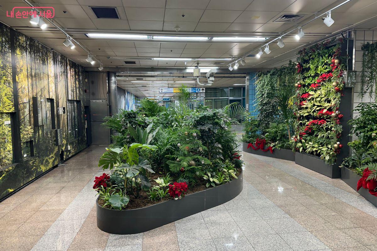 따스한 느낌의 크리스마스 장식이 돼 있다. ©김재형