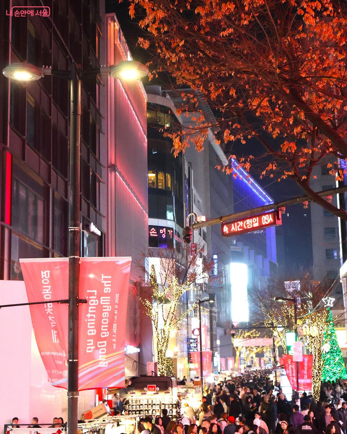 '2025 명동 빛축제'가 11월 14일~2026년 1월 4일 열리고 있다. ©이봉덕 