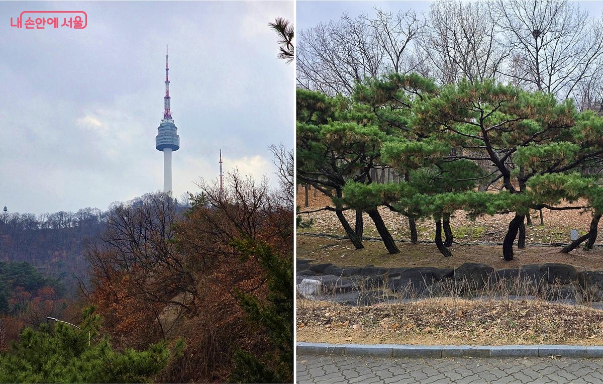 남산타워와 남산공원 모습 ©조성희