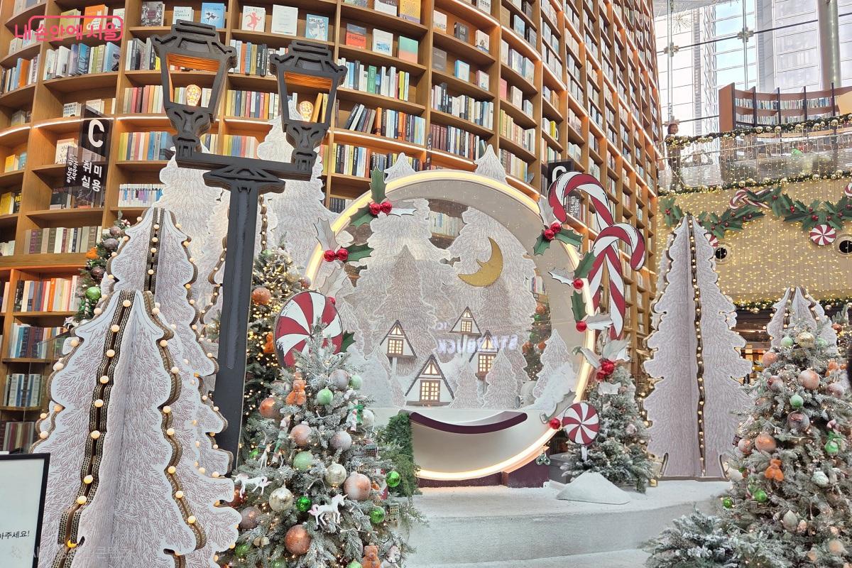 높은 서가의 은은한 불빛과 어우러져 더 멋진 풍경을 만들어 준다. &copy;김미선