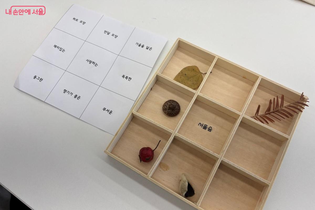 정원을 산책하며 수집한 자연물 ©김아름