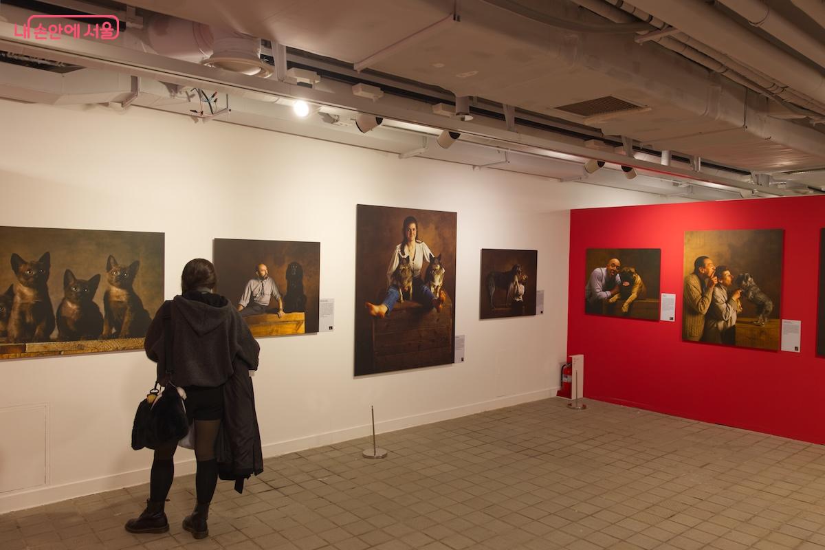 세계적 사진작가인 얀 아르튀스-베르트랑의 작품들이 전시되고 있다. ©임중빈