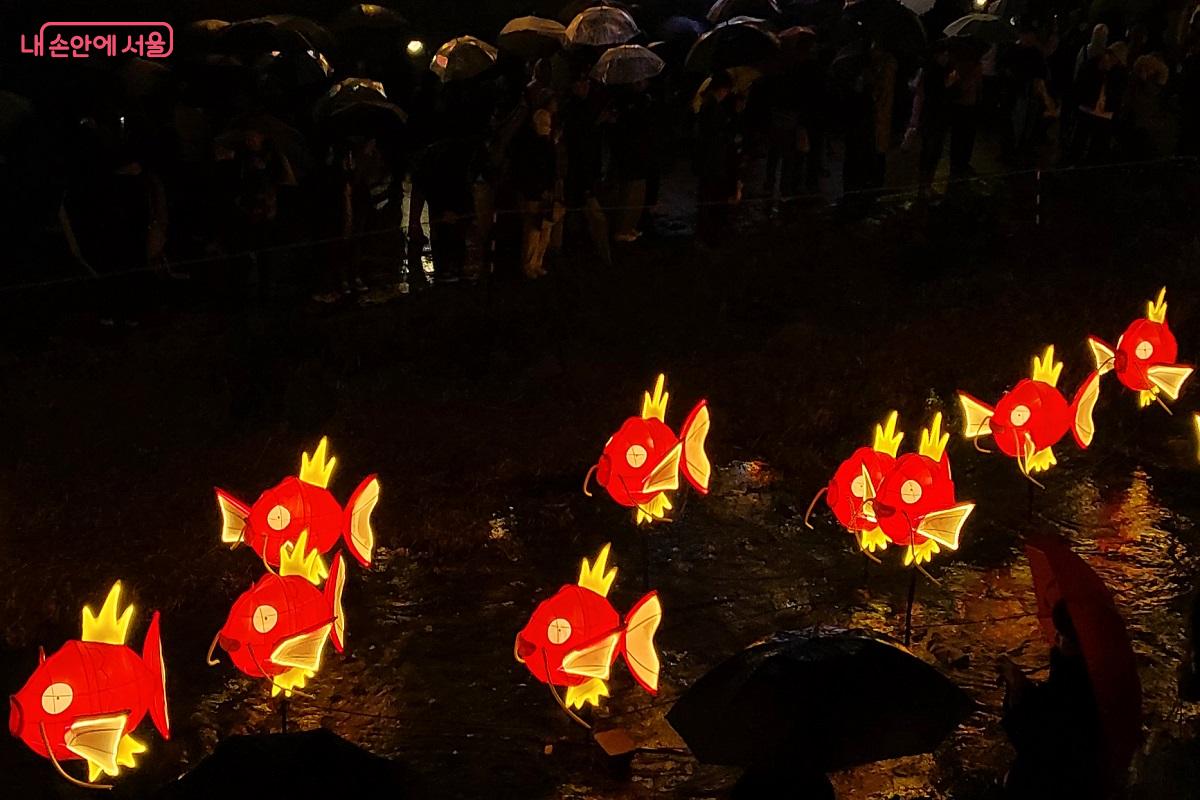 청계천에 나타난 잉어킹, 황금잉어를 찾아라! &copy;권수진