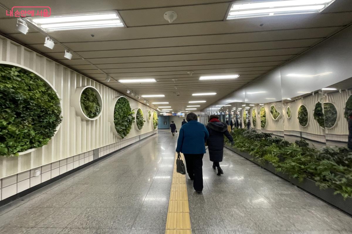 삼각지역 양쪽 벽면과 바닥에 꾸며진 초록 식물들 &copy;이정민 