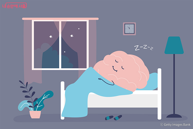 수면은 기억의 편집실이다. 깊은 수면에서 시냅스의 항상성이, 렘수면에서는 정서 기억 통합이 일어난다.