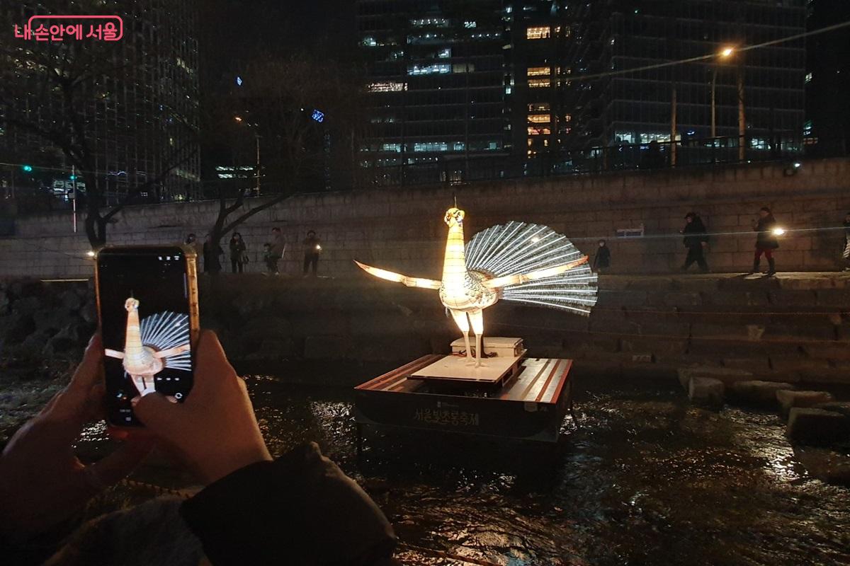 불을 내뿜는 공작 &lsquo;꿈의 날갯짓&rsquo;은 동영상 인기 존이다. &copy;김병규