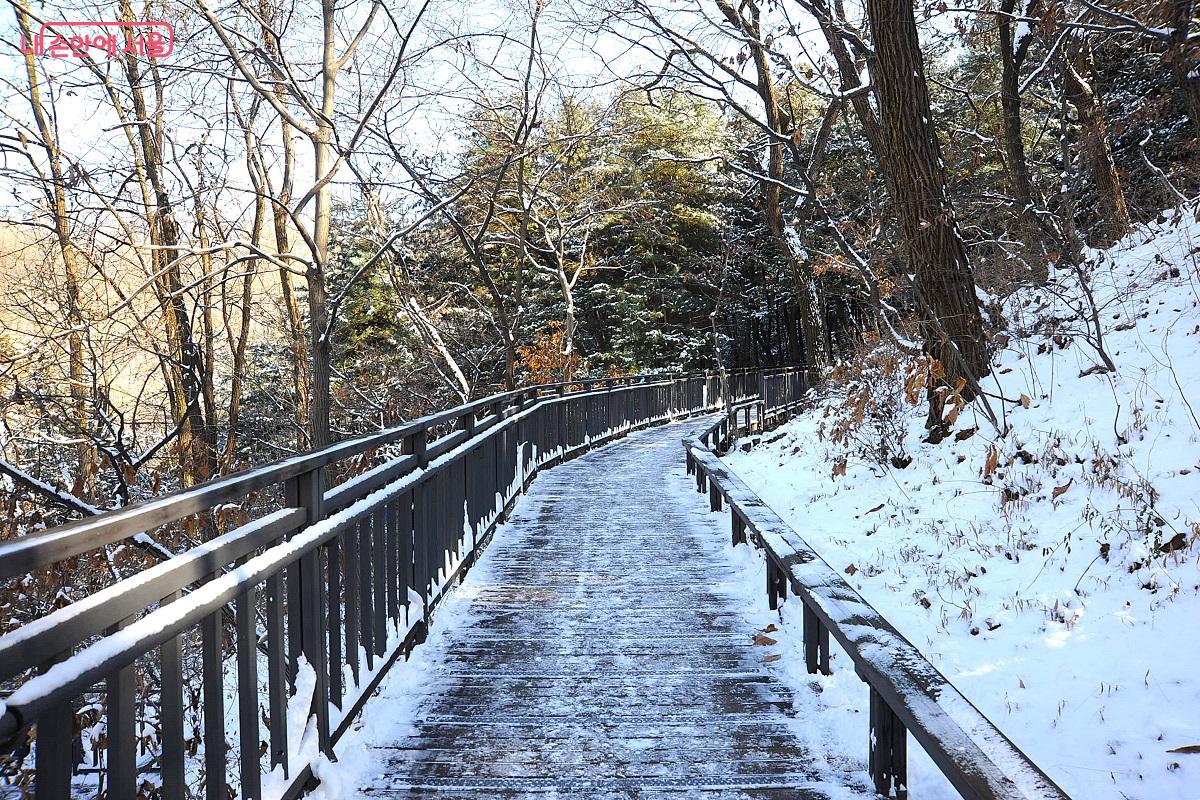 무장애 데크길을 이용하면 누구나 쉽게 탐방할 수 있다. &copy;조수봉