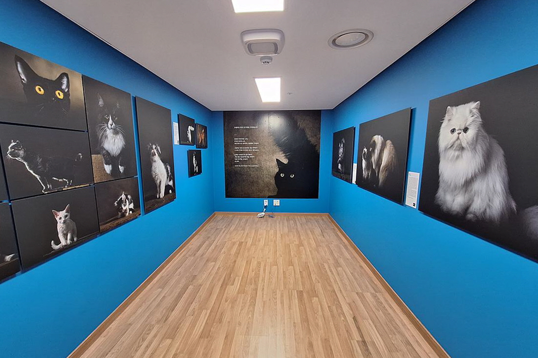 댕댕이와 문화 데이트! 반려동물 동반 '여의도 지하벙커' 전시