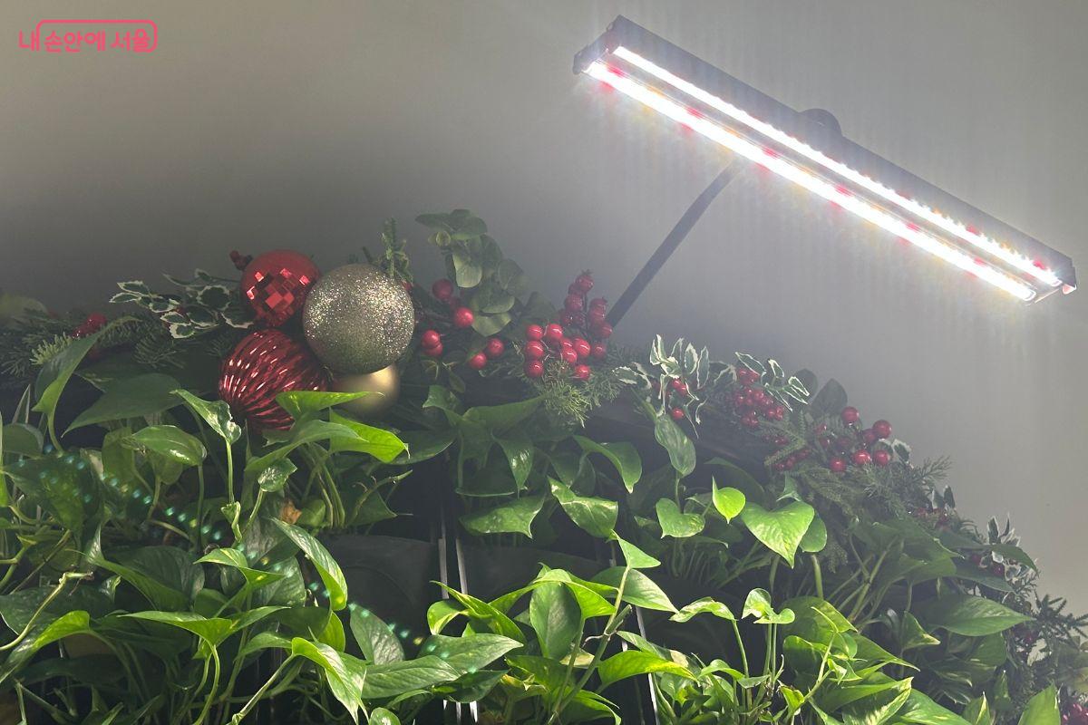 실제 나무와 식물을 기반으로 꾸며져 있다. ©김재형