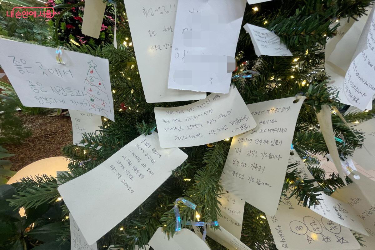 시민들이 직접 쓴 소원 카드가 걸린 트리 공간 &copy;이정민
