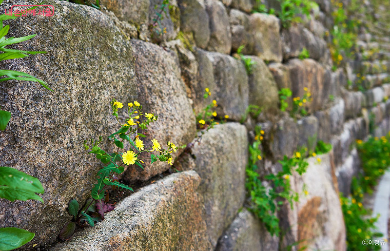 군역을 피하려는 양반의 숫자가 늘어나는 만큼 힘없는 백성들의 군역 부담은 늘어났다.