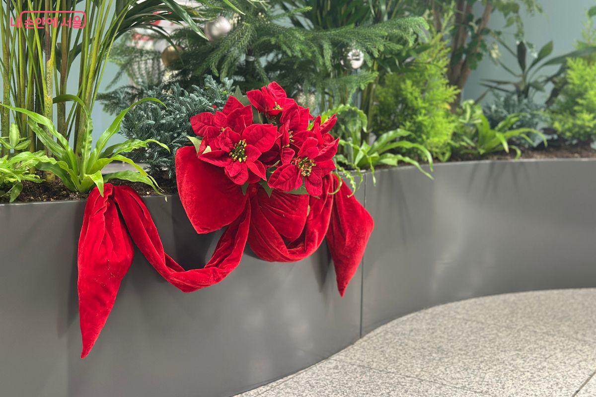 벨벳 리본과 방울 장식 등을 볼 수 있다. ©김재형