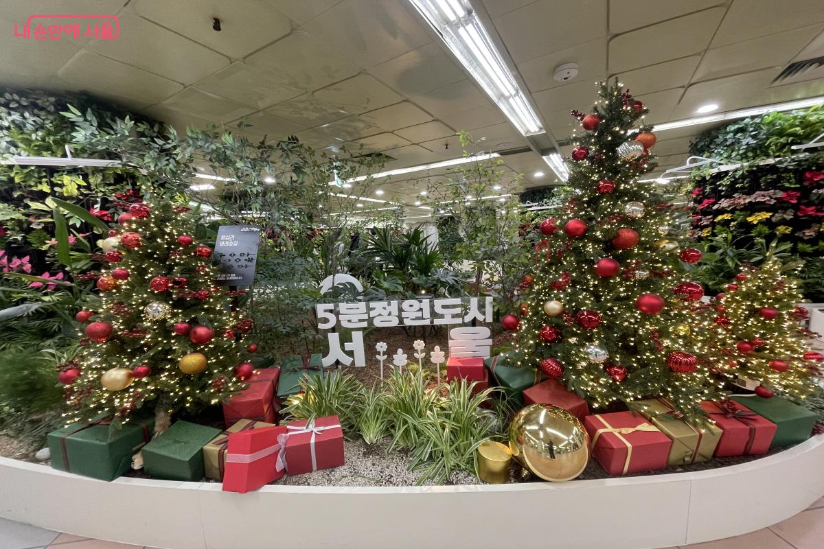 벽면 포인세티아로 겨울 정원을 꾸민 왕십리역 &lsquo;서울 아래숲길&rsquo; &copy;이정민
