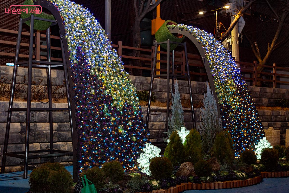 따스한 빛과 자연이 만나, 마음까지 밝아지는 겨울의 마법 같은 순간 &copy;문청야