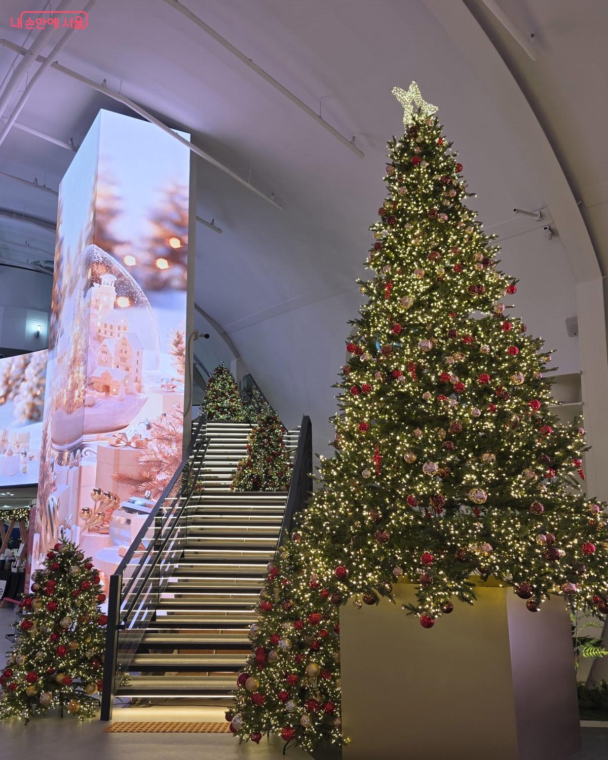 트리 사이로 난 계단은 인증샷을 찍기 위한 인기 포토존이 될 것 같다. ⓒ이선미 