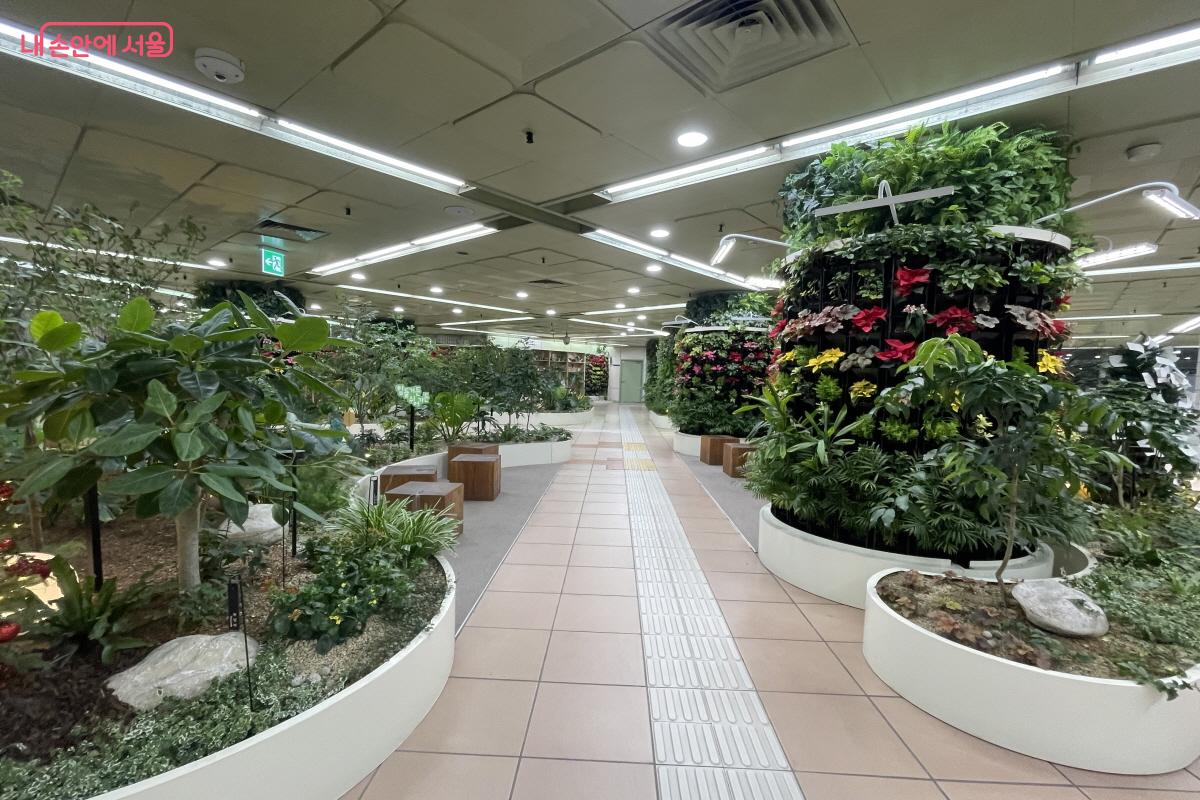왕십리역 지하 1층 대합실 광장에 자리한 겨울 정원 &copy;이정민