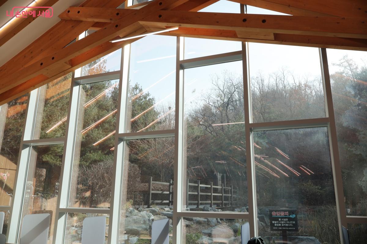 한쪽이 큰 통창으로 되어 있어 마치 숲속에서 책을 읽는 듯한 느낌을 준다. ©노윤지