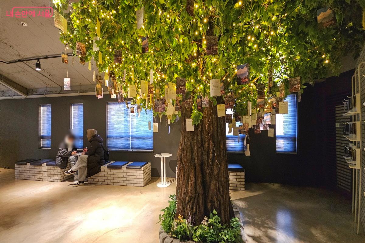 용산공원은 어떻게 변신할까? 시민들의 희망사항이 ‘용산공원 나무’에 달려 있다. ©이선미