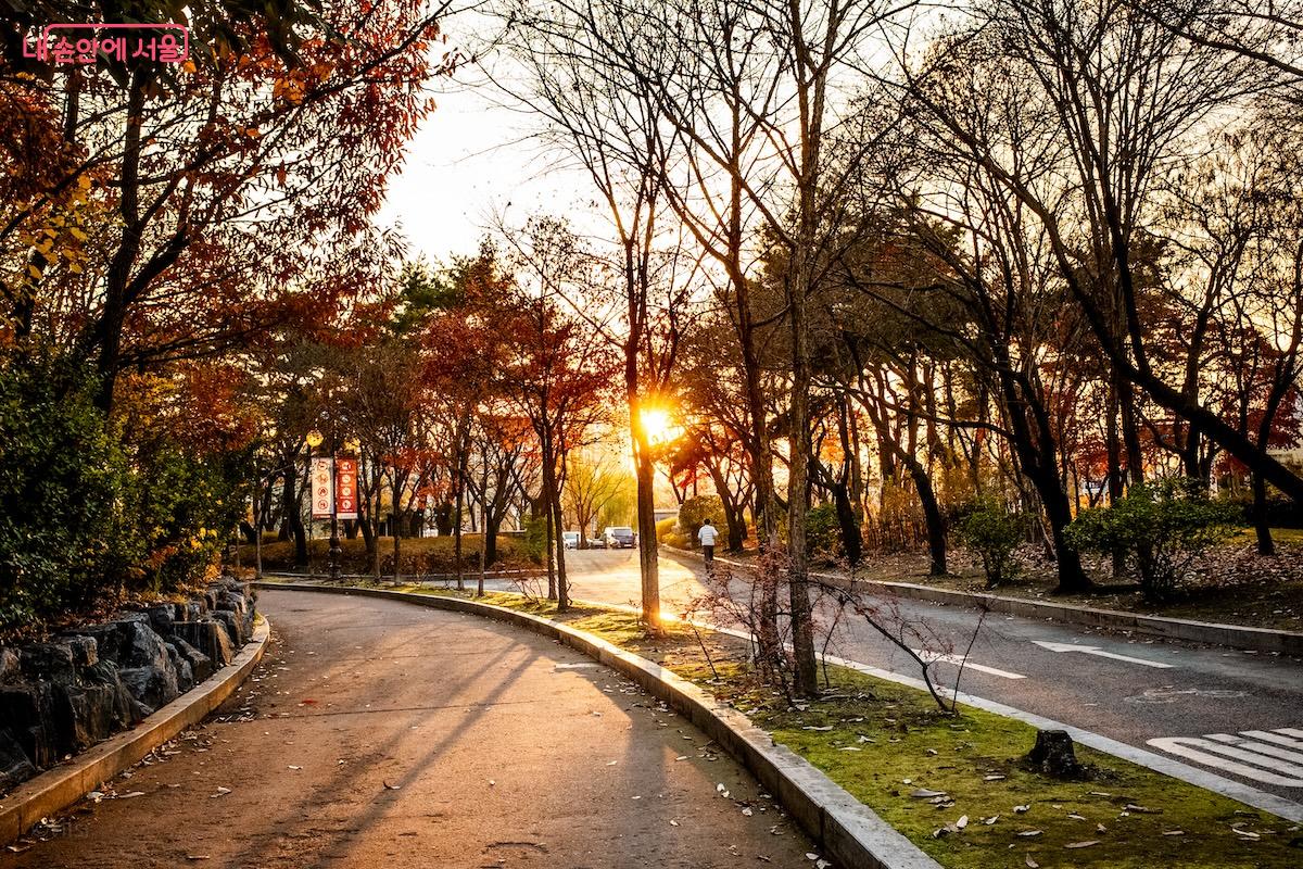 노을빛이 감도는 여의도공원에서의 겨울 산책 &copy;이진형