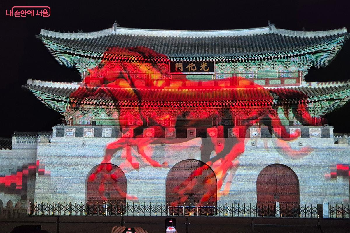 2026년 붉은 말의 해를 맞아 힘차게 대지를 가르는 붉은 말들의 역동적인 모습 &copy;이혜숙