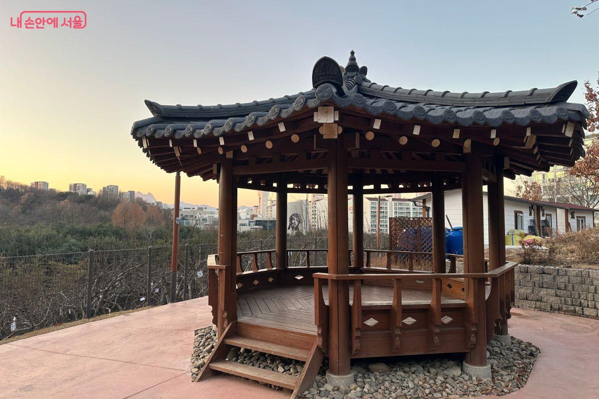 전망대에 설치한 대형 정자 ©김재형