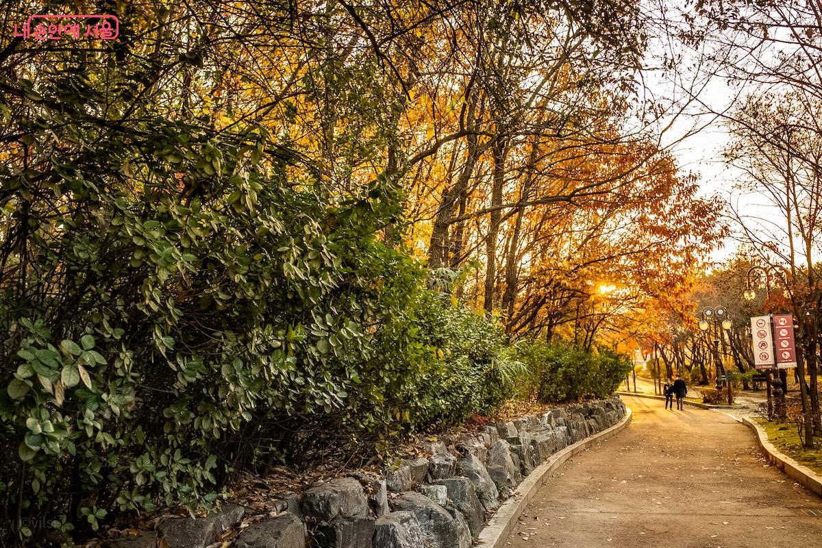 노을이 지는 시간에 여의도공원을 산책했다. &copy;이진형