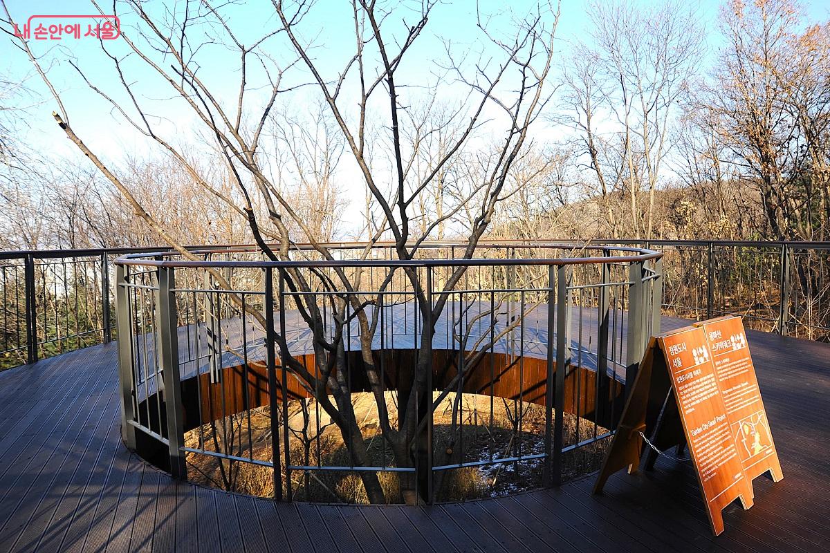 스카이워크 전망대는 &lsquo;정원도시 서울&rsquo;을 실현하며 주위에 매력정원을 조성했다. &copy;조수봉