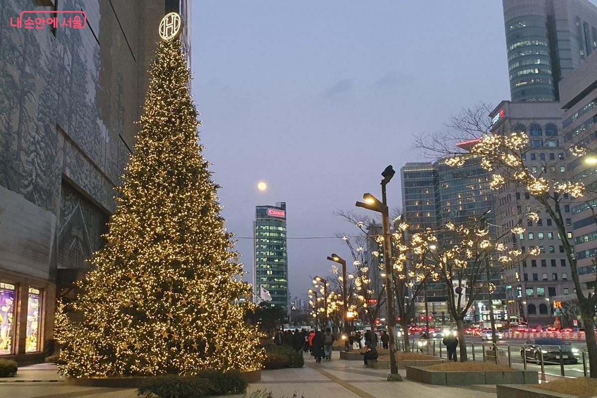 연말 거리를 화려하게 장식한 크리스마스트리 ©김병규