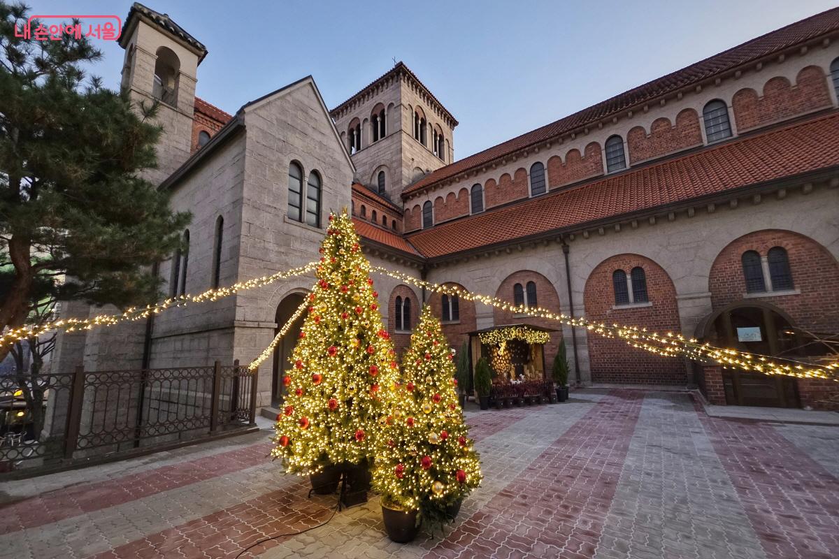 크리스마스를 앞두고  대한성공회 주교좌성당 마당에 예쁜 트리가 장식돼 있다. ©이선미
