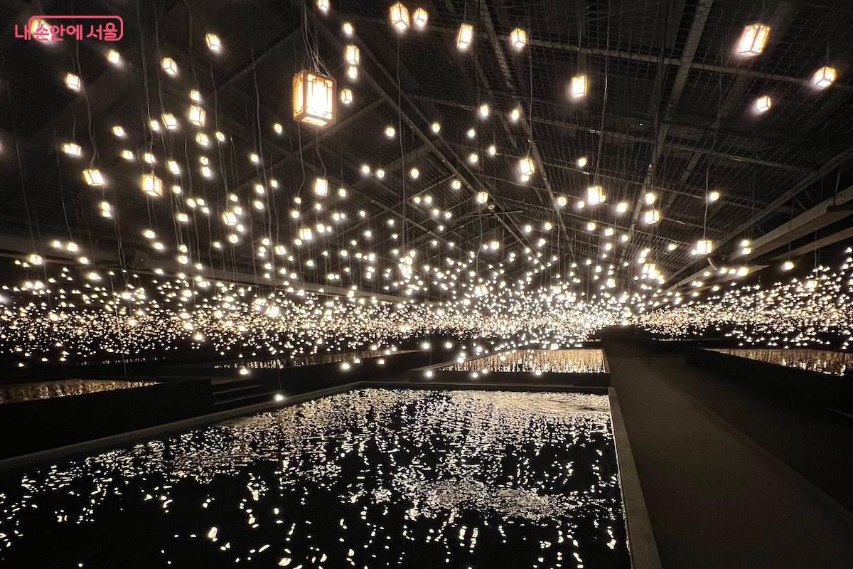 빛이 건네는 온기에 매료되었다. ©김수겸