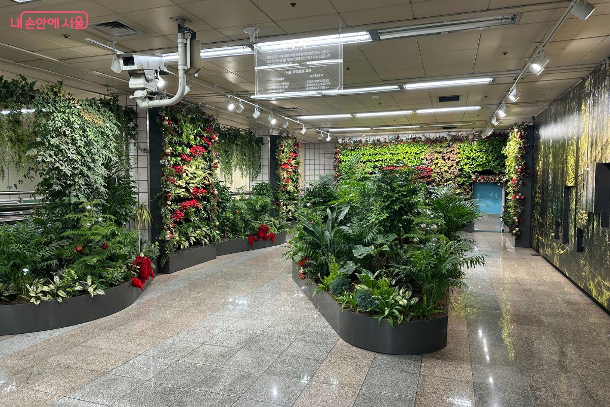 예쁜 크리스마스 장식으로 꾸며진 서울 아래숲길 ©김재형