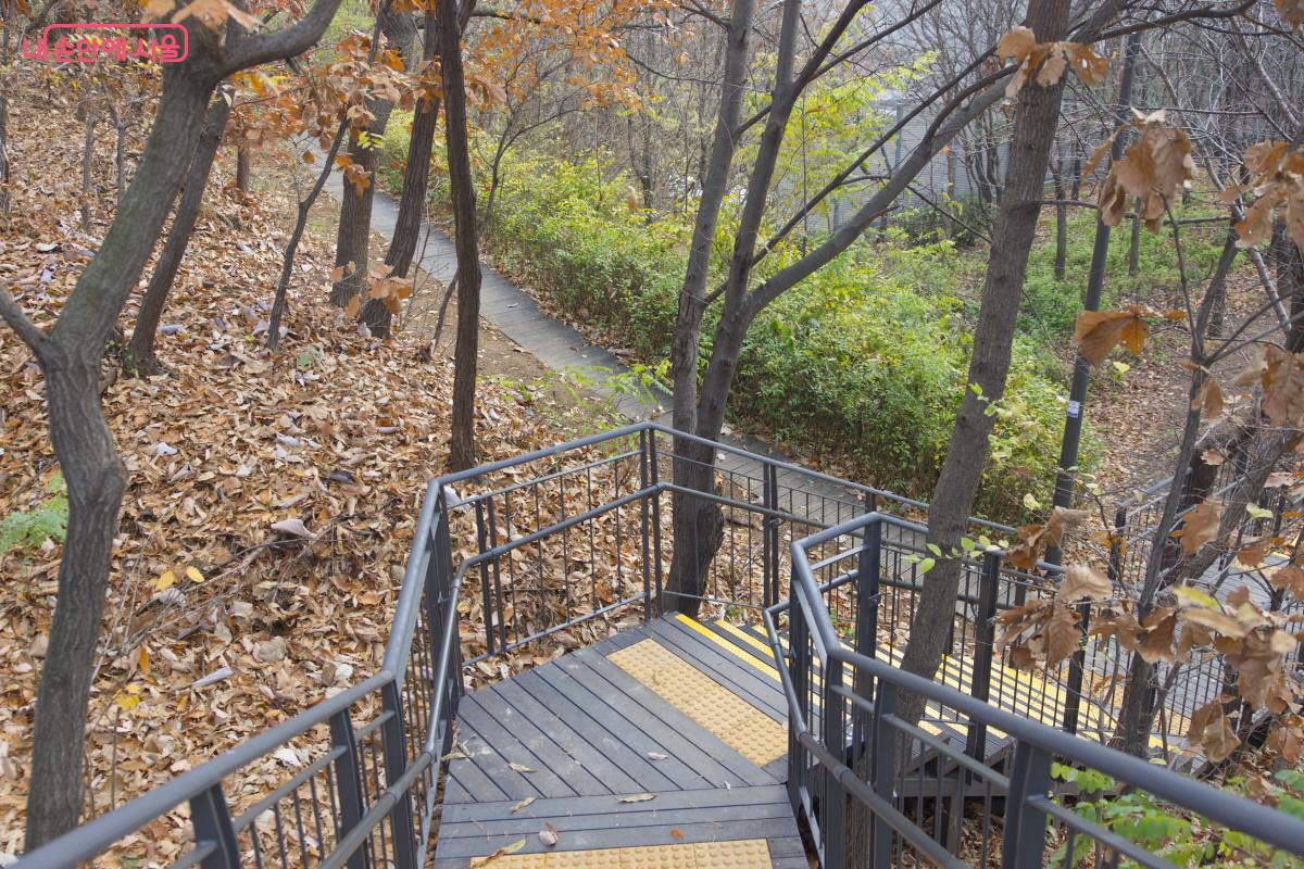 평소 접근성이 떨어진다는 단점은 다양한 무장애숲길 코스를 보강해 해소되었다. ©임중빈