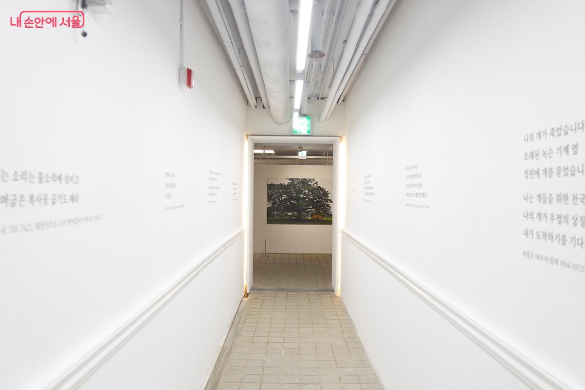 여의도 벙커 가장 안쪽에서는 영상 전시도 진행되고 있어 꼭 들러볼 만하다. ©임중빈