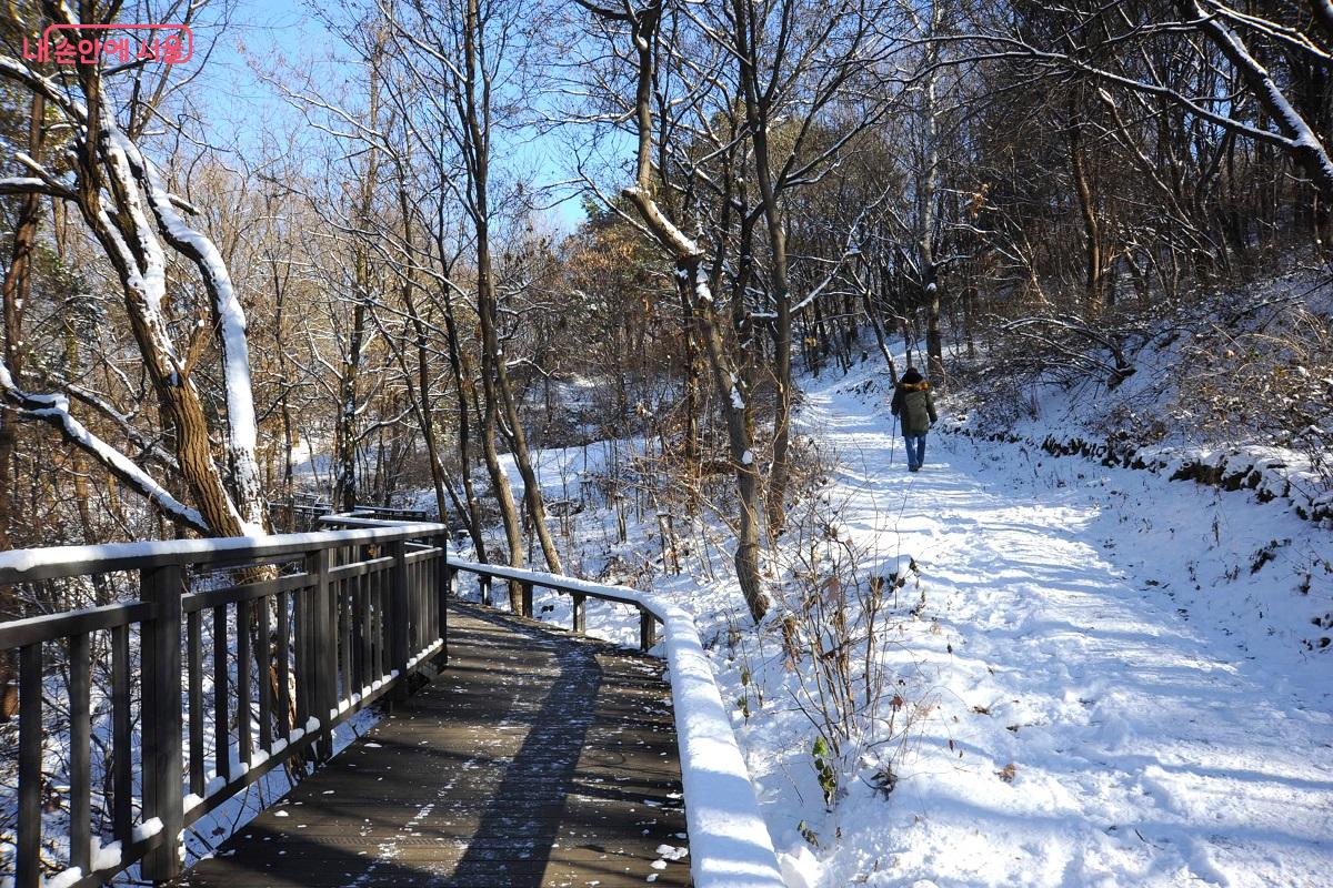 데크길 외에도 일반 등산로를 이용하는 탐방객도 눈에 띈다. &copy;조수봉