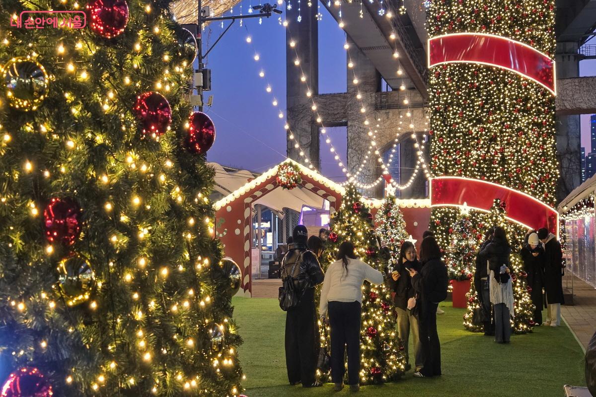 시민들이 크리스마스 트리를 배경으로 따뜻한 겨울의 추억을 만들고 있다. ⓒ이선미