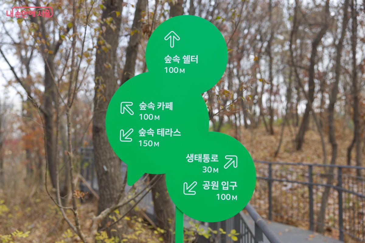 서울시 양천구 신월동 350-31에 위치하고 있는 지양숲공원 ©임중빈