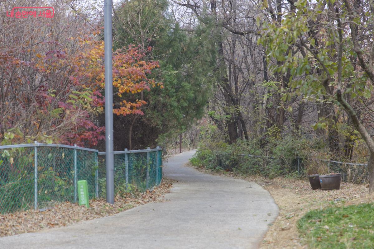 지양산으로 향하는 등산로로의 접근성도 좋아진 지양숲공원 ©임중빈