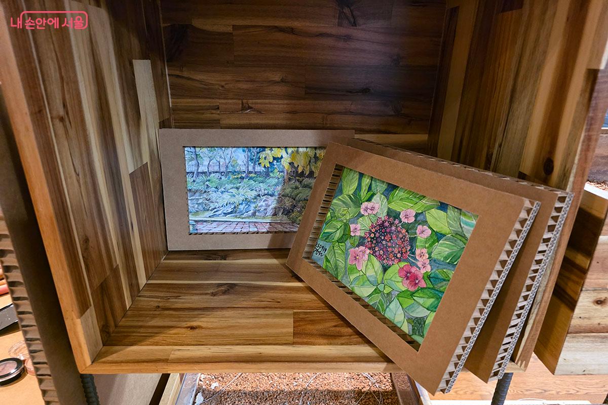 숲길 속 식물을 세밀하게 관찰하여 그린 ‘식물의 아름다움’ 작품 ©이정민