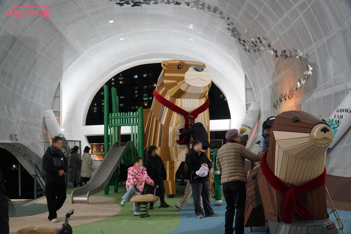 새로 생긴 수달 놀이터 &copy;홍혜수