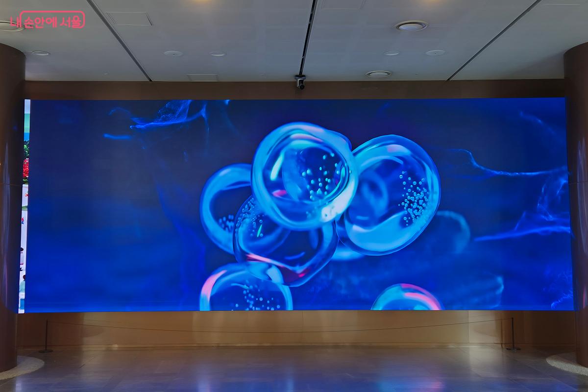 로비에 들어서면 압도적인 미디어 아트 <해이라: 심연의 기억>이 눈길을 사로잡는다. &copy;이혜숙