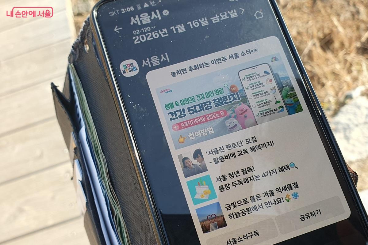 '금빛으로 물든 겨울 억새 물결 하늘공원에서 만나요' 1월 16일자 서울시 카톡소식 &copy;엄윤주