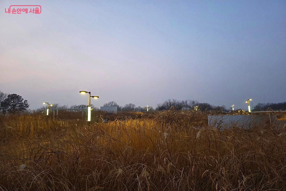 야간 출입 시에도 안전한 조명이 설치된 하늘공원 &copy;이정민