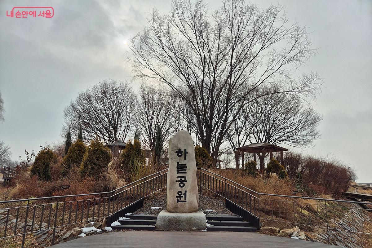 하늘공원에서 11월이면 다음 해의 새싹을 위해 모두 베어지던 억새가, 무려 23년 만에 겨울을 나는 새로운 시도를 한다.