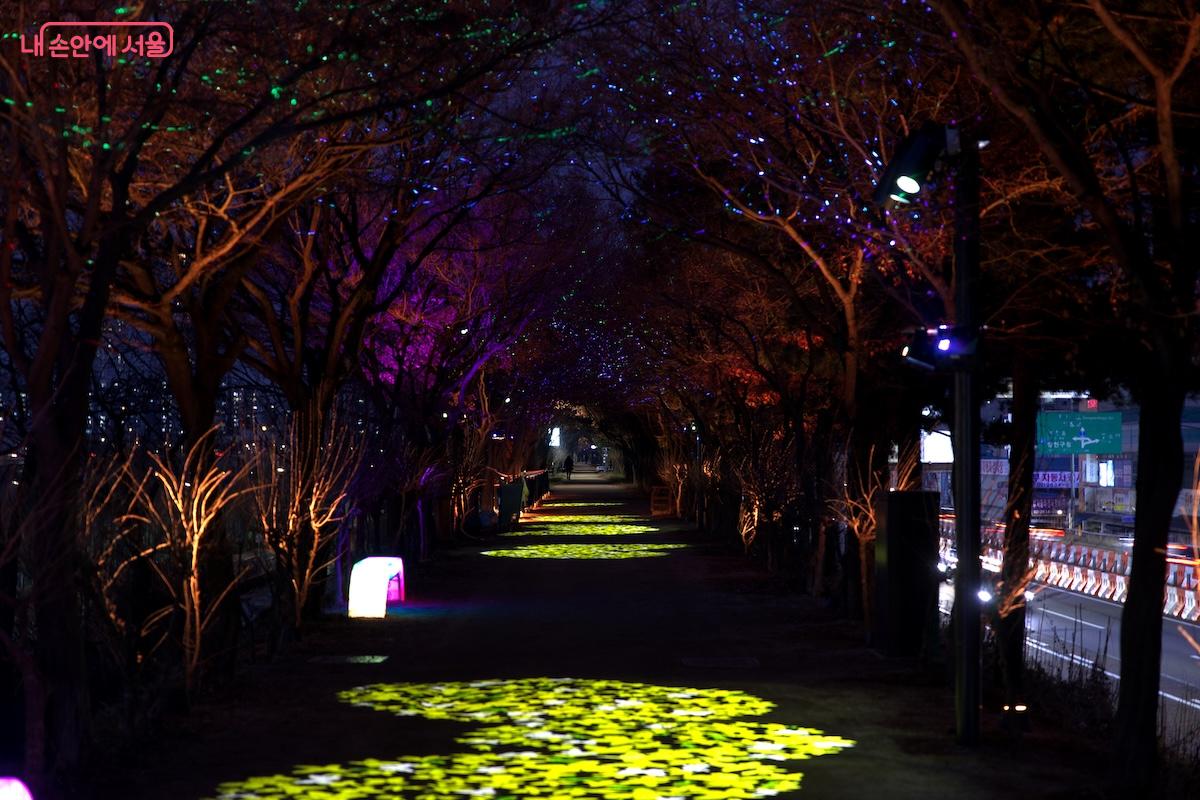 미관 향상은 물론 범죄 예방 효과에도 큰 역할을 할 것으로 기대된다. &copy;임중빈