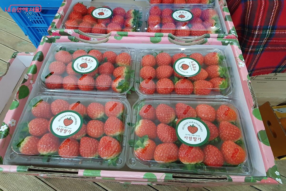 매일 군산 산지에서 직송되는 딸기는 품절이 될 만큼 인기가 높다. &copy;김병규 