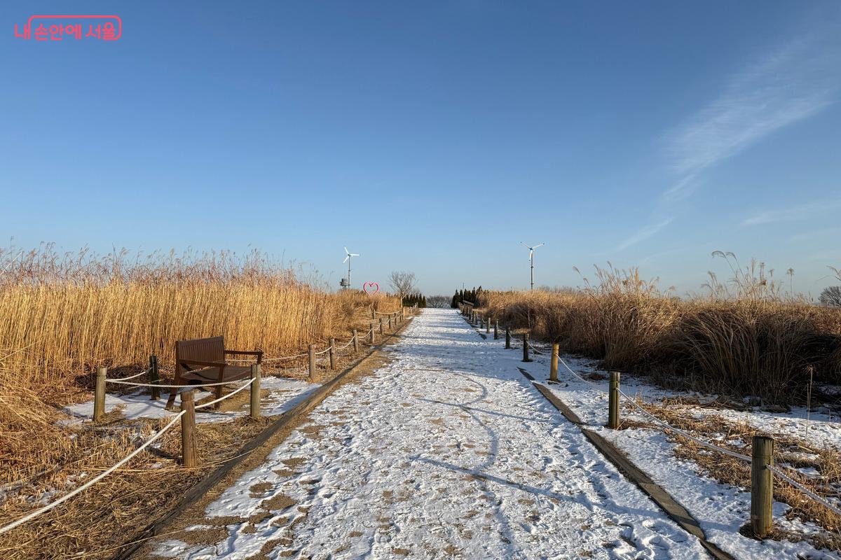 하얀 눈길과 금빛 억새를 함께 감상할 수 있는 하늘공원 풍경 ⓒ임수영